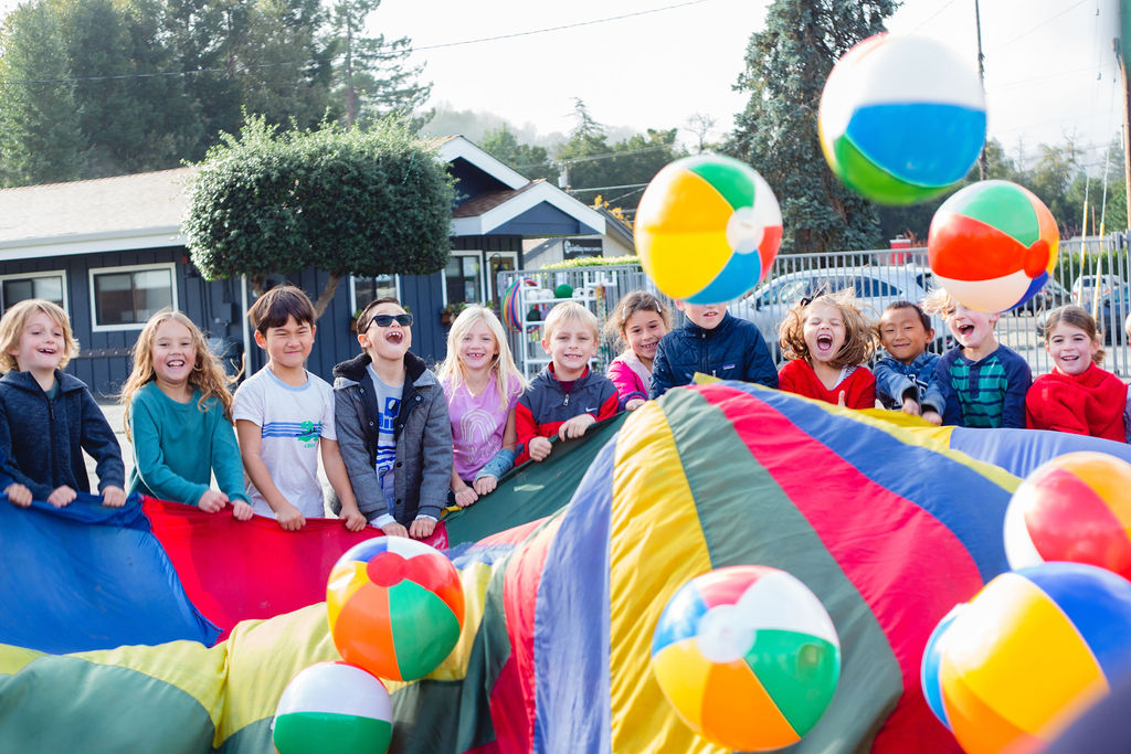 Midyear Kindergarten Educator Referral Form